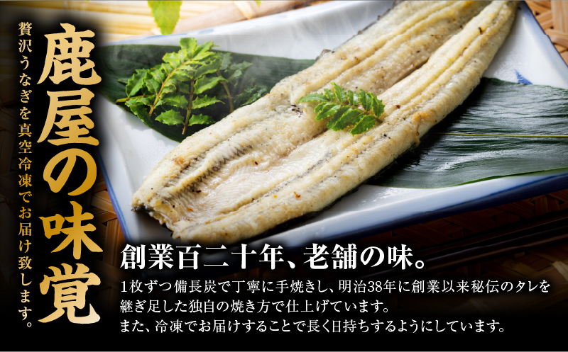 【全3回定期便】鹿児島県産うなぎの白焼き 2尾　KN174-T07