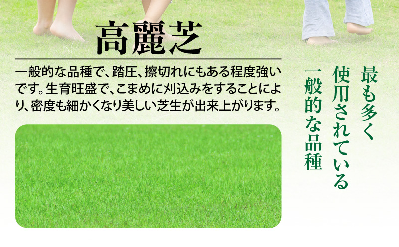 【10月から5月に発送】高麗芝（10平方メートル）　KN177-003-02