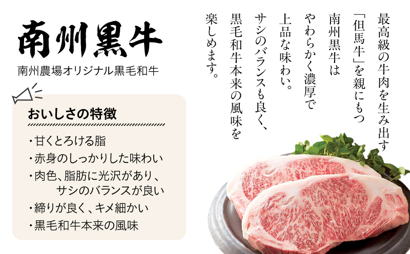 1395 åå·èŸ²å Ž é»è±ããŒã¹å³å挬ãè©°åãïŒNNF-4554ïŒãKN005-003