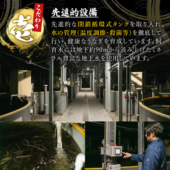 鹿児島県産きざみうなぎ蒲焼き 10セット