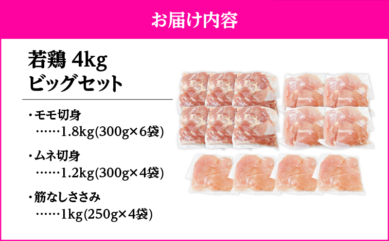 2648 è¥é¶4kgããã°ã»ãããKN105-001-02