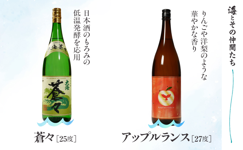 【全6回定期便】「海とその仲間たち」海が毎月届く　KN034-T02