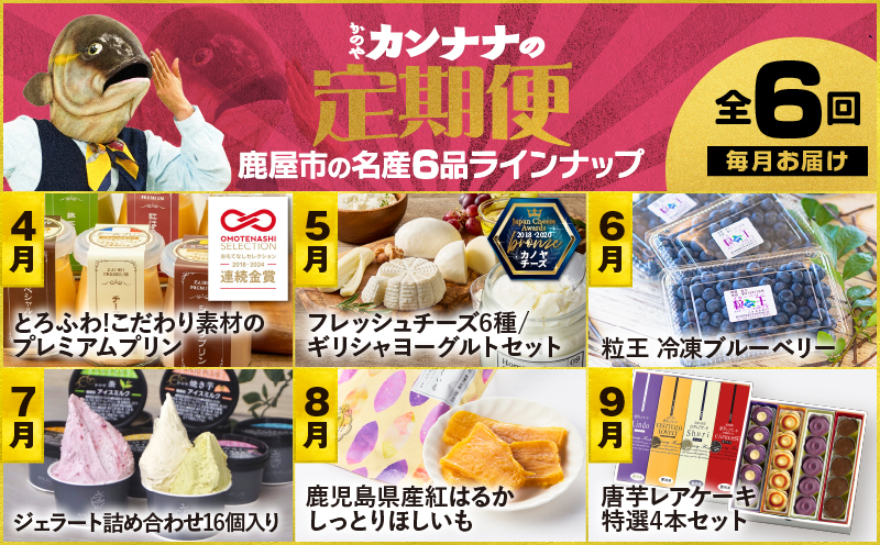 縲仙ィ6蝗槭鷹ケソ螻九き繝ウ繝翫リ萓ソ縲KN000-T10