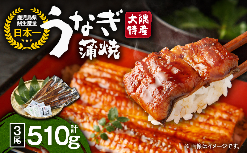 1387 大隅特産うなぎ蒲焼3尾（510g）　KN060-001-03