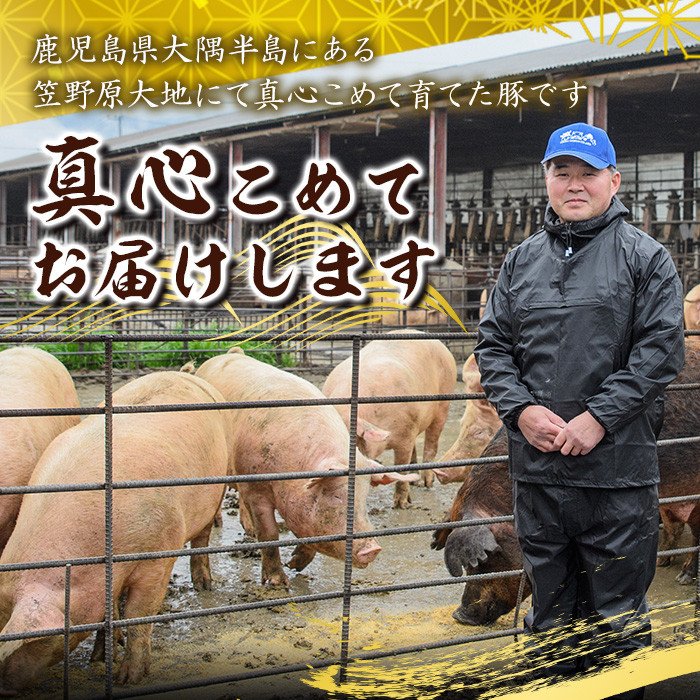 鹿屋産 さかし豚 ３種盛り3.3kg Ａ