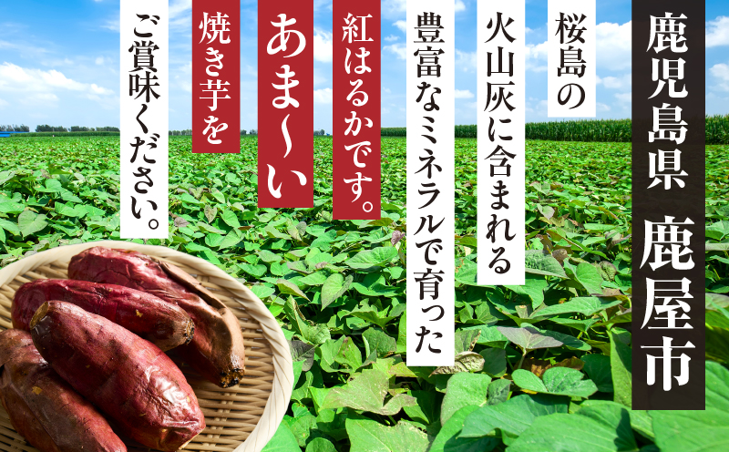 紅はるか 冷凍焼き芋 1kg　KN046-011-01