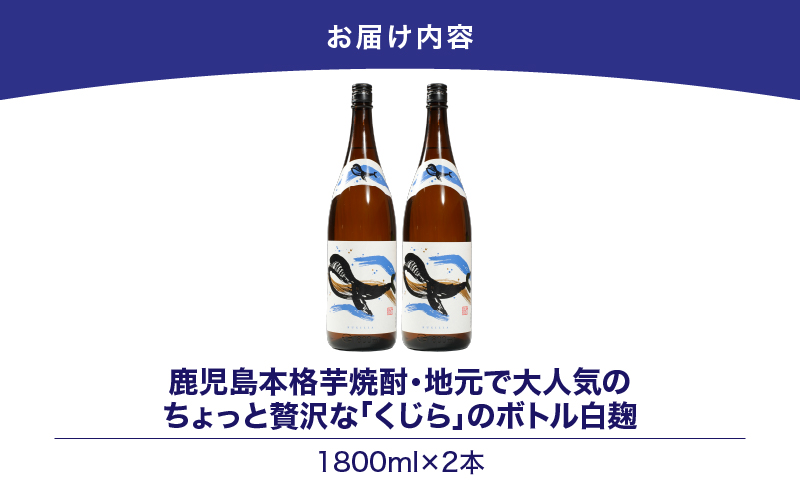 ãè¶
ç¹æ¥äŸ¿ã2801 鹿å
å³¶æ¬æ ŒèçŒé
ã»å°å
ã§å€§äººæ°ã®ã¡ãã£ãšèŽ
æ²¢ãªãããããã®ããã« çœéº¹ 1,800mlïŒäžåç¶ïŒÃ2æ¬ãKN043-005-01