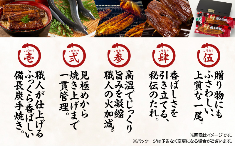 うなぎ問屋の備長炭手焼うなぎカット 2枚入×2袋 計180g　KN029-003-05