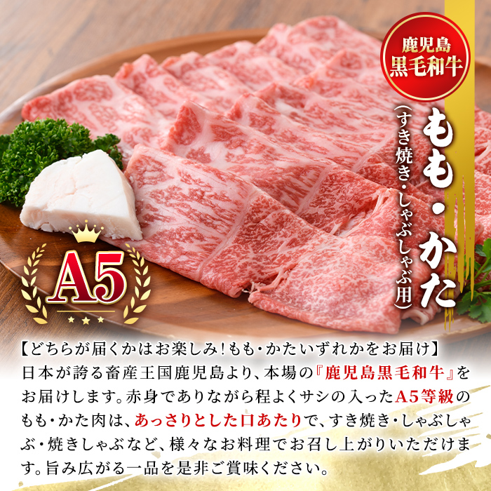 鹿児島黒毛和牛Ａ5すき焼き・しゃぶしゃぶ用1kg（もも・かたいずれか）