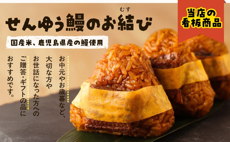 鹿児島うなぎのおむすびセット　KN084-005