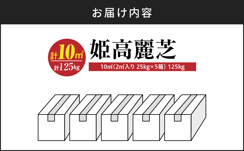 【10月から5月に発送】姫高麗芝（10平方メートル）　KN177-004-02