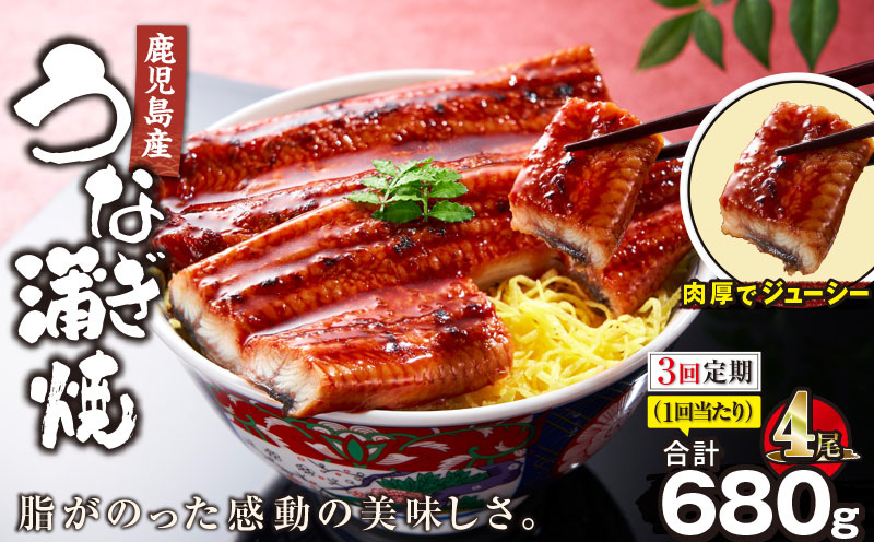 【全3回定期便】鹿児島産うなぎ蒲焼 170g×4尾 清らかな地下水育ち！　KN021-T31