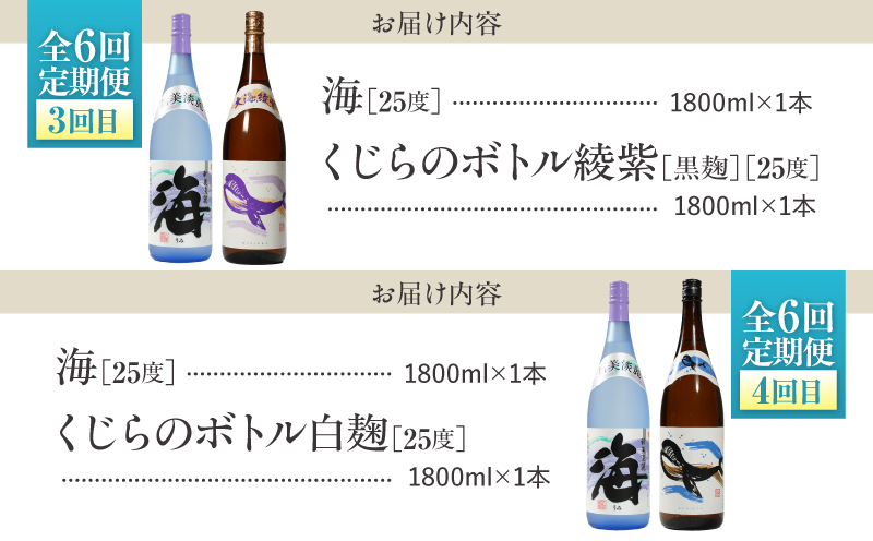 【全6回定期便】「海とその仲間たち」海が毎月届く　KN034-T02