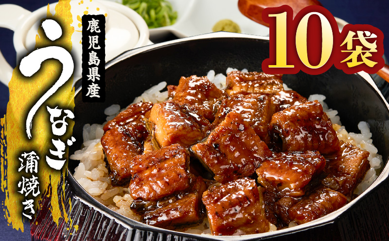 1655-1 鹿児島県産 きざみうなぎ蒲焼き10セット　KN058-001-02
