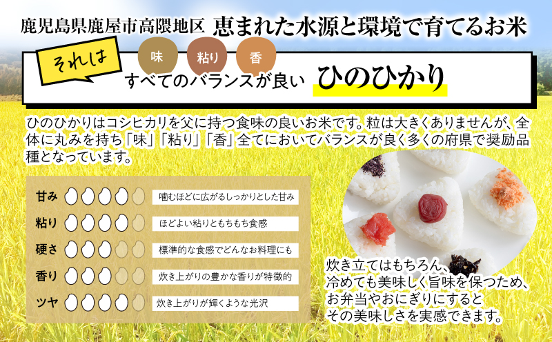 1666-2 縺薙□繧上j霎イ螳カ縺ョ閾ェ菫。菴懶シ鮖ソ螻句クるォ倬嚠逕」縲後イ縺ョ縺イ縺九j縲10kg縲KN069-001-02縲舌ワ繝槭ム蝠莠区怏髯蝉シ夂、セ縲