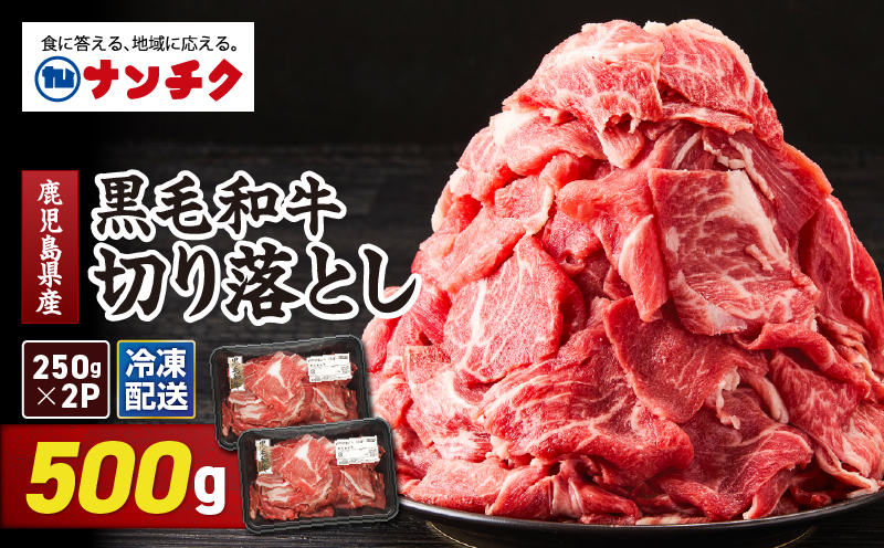 鹿児島県産 黒毛和牛 切り落し 計500g　KN102-006-01
