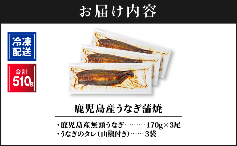 2443 鹿å
å³¶ç£ããªã åèš510gïŒ170gÃ3å°ŸïŒ æž
ãããªå°äžæ°Žè²ã¡ïŒãKN021-014-03ãæ ªåŒäŒç€Ÿè²¡å®ã