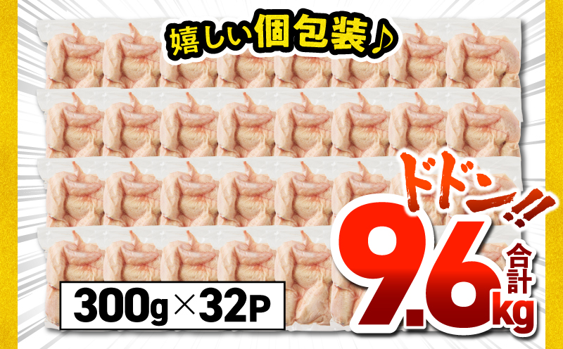 鹿児島県産若鶏手羽先 9.6kg セット　KN165-006-02