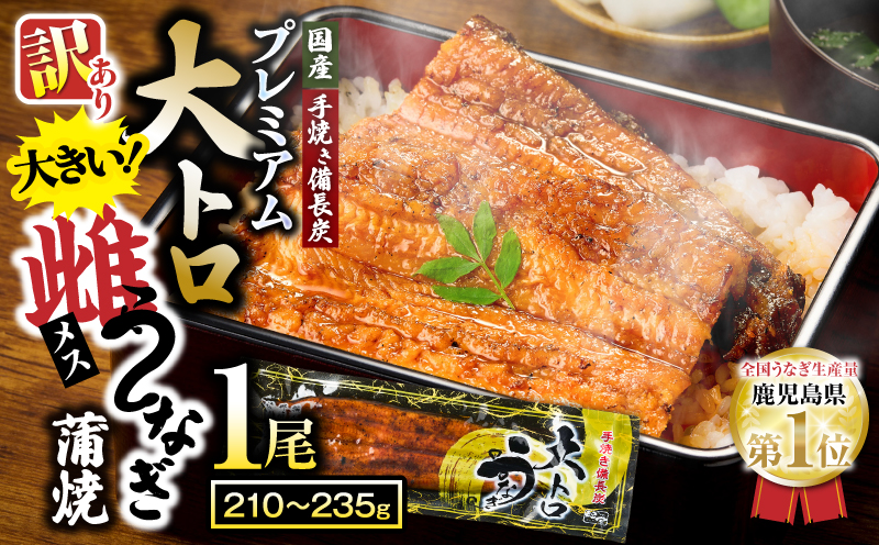 【訳あり（規格外）】プレミアム大トロ雌うなぎ蒲焼1尾（45尾サイズ：210〜235g）　KN040-022