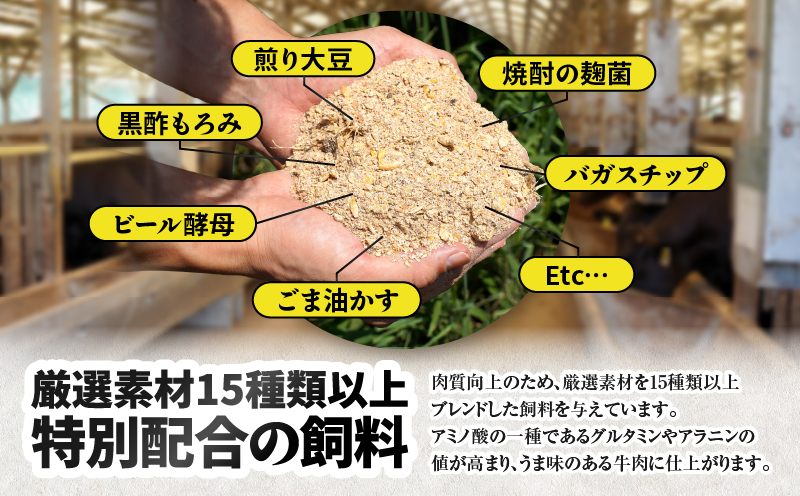 2538 【ナカヤマさんちのお肉】牛すじ煮込み専門肉 計400g（400g×1袋）　KN050-034