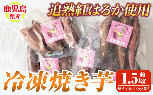 鹿児島県産紅はるか冷凍焼き芋【鹿児島県産 さつま芋 いも 芋 紅はるか 焼き芋 冷凍】