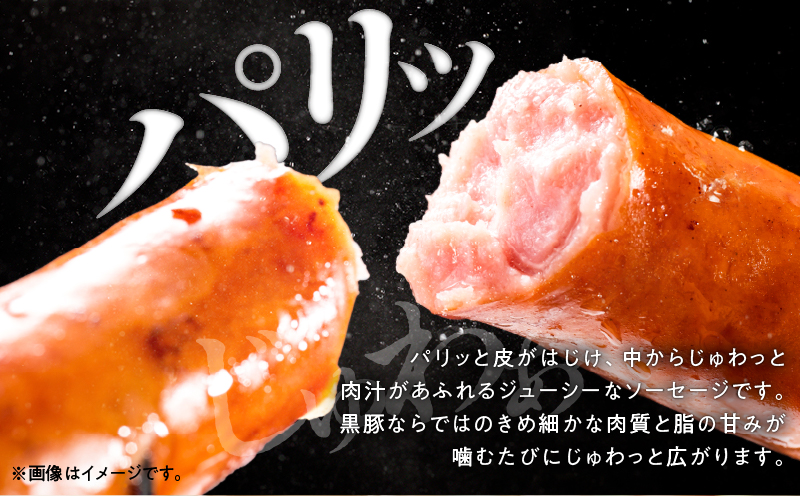 鹿å
å³¶é»è± èæœããã©ã³ã¯ 900gãKN005-013