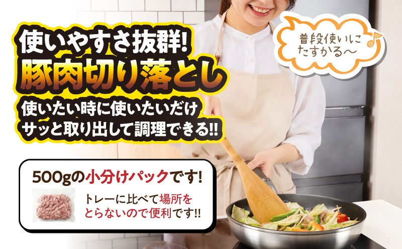 ＜訳あり＞鹿児島県産豚肉切り落とし 3kg（500g×6パック）　KN179-001-03