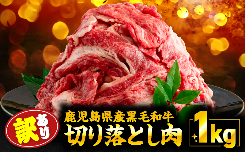 【訳あり】鹿児島県産 黒毛和牛 切り落とし肉 1kg（500g×2P）　KN050-042