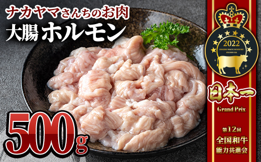 【ナカヤマさんちのお肉】うしの中山 ホルモン（大腸）500g（500g×1袋）