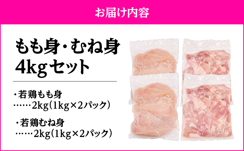 鮖ソ蜈仙ウカ逵檎肇闍・鮓上b繧りコォ繝サ繧縺ュ霄ォ 4kg繧サ繝繝医KN105-019-02