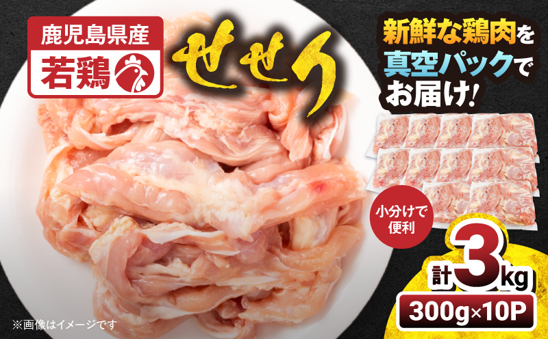 鹿児島県産若鶏せせり（小肉） 3kgセット　KN105-018