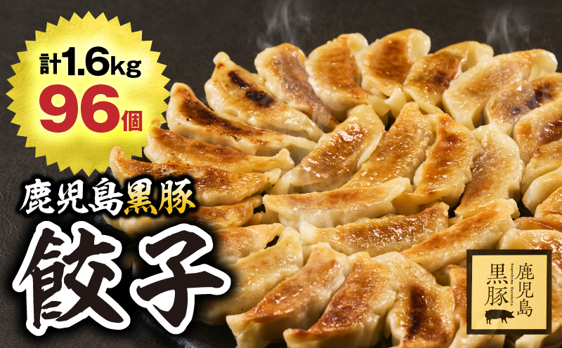1289-1 鹿児島黒豚 餃子 1.6kg＜96個＞ 豚肉 黒豚 おかず 小分け アレンジ 贈答 鹿児島 鹿屋 こだわり　KN054-004