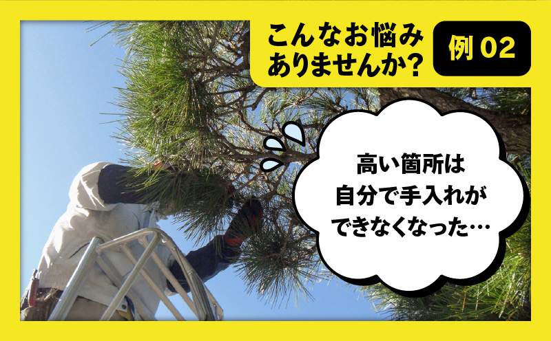 繝励Ο縺ォ繧医kシ√♀蠎ュ縺ョ邯ュ謖∫ョ。逅縲KN177-001