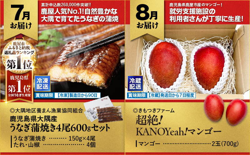 縲仙ィ12蝗槭鷹ケソ螻九き繝ウ繝代メ繝ュ繧ヲ萓ソ縲KN000-T08