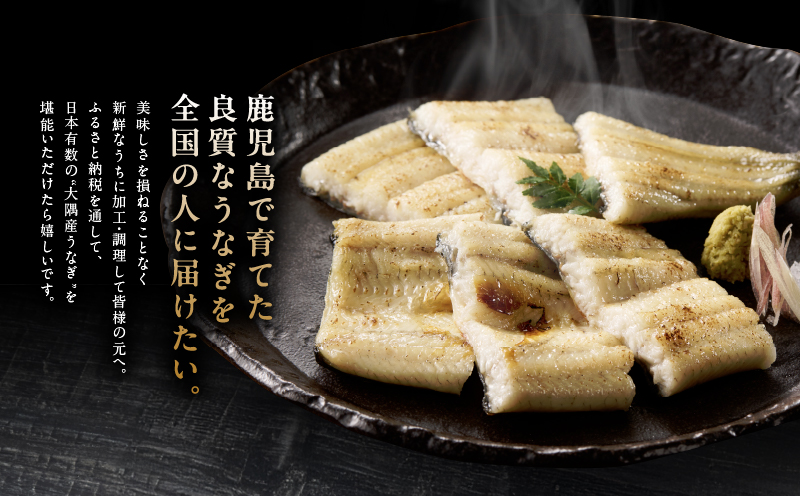 1468 鮖ソ蜈仙ウカ逵悟、ァ髫逕」縺縺ェ縺守區辟シ3蟆セシ360gシ峨KN007-009-01