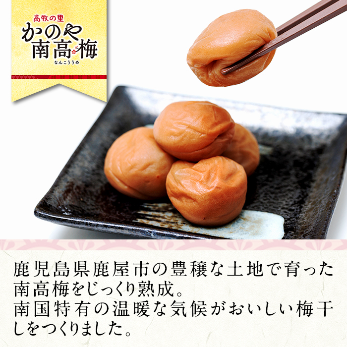 はちみつ入り南高梅　200g×2箱 【梅 うめ 梅干し うめぼし はちみつ 蜂蜜 ハチミツ 塩漬け 天然 自家製 小分け 南高梅】