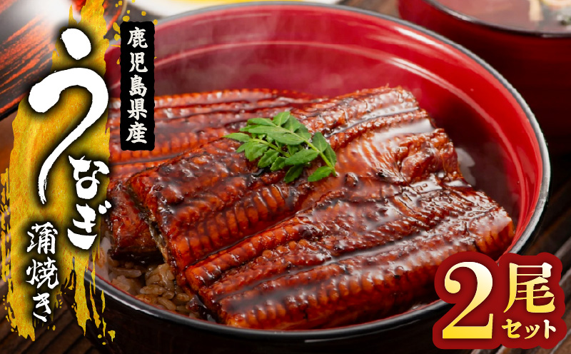 1654-1 鹿児島県産 うなぎ蒲焼き2尾セット　KN058-002-02