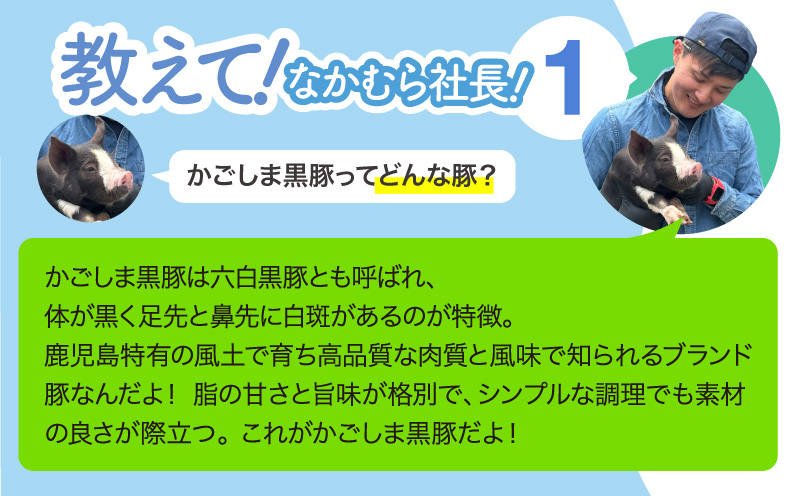 かごしま黒豚しゃぶしゃぶ 800g /贈答用箱入り　KN167-001