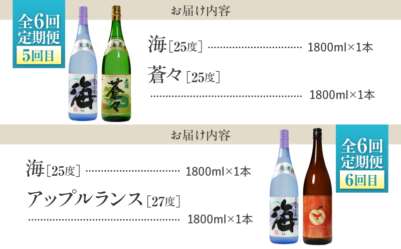 【全6回定期便】「海とその仲間たち」海が毎月届く　KN034-T02