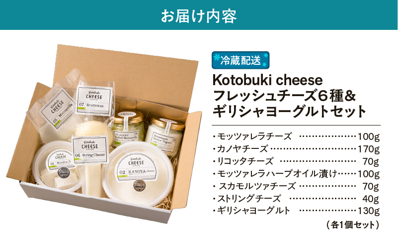 1128 ãã¬ãã·ã¥ããŒãº6çš®/ã®ãªã·ã£ãšãŒã°ã«ãã»ãããKN087-002