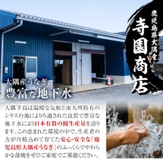 大隅特産うなぎ蒲焼２尾（340ｇ）・白焼１尾（120ｇ）食べ比べセット