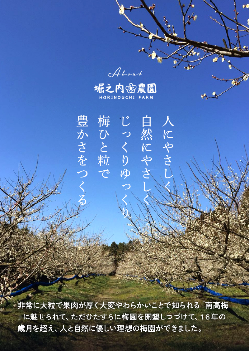 2583 ＜訳あり＞ つぶれ梅 梅干し かのや南高梅 食べ比べ A  （はちみつ梅・しそ梅・レモン風味） 各1袋 ×300g （計900g）　KN033-007-01
