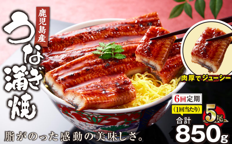 【全6回定期便】鹿児島産うなぎ蒲焼 170g×5尾 清らかな地下水育ち！　KN021-T34