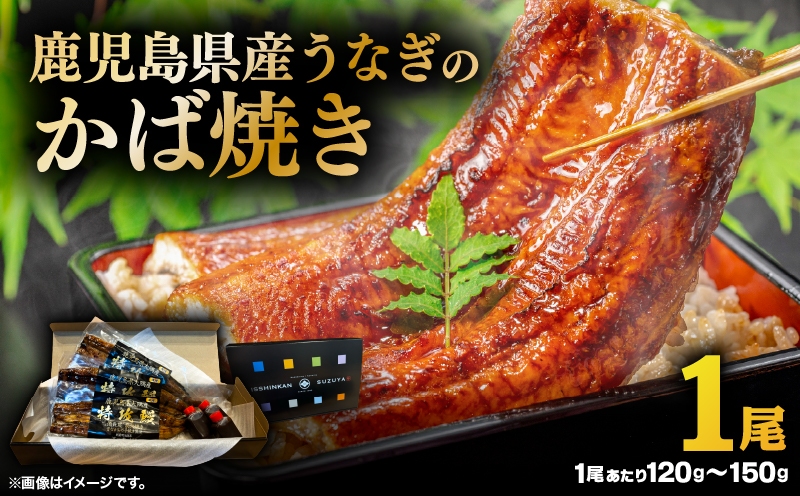 鹿児島県産うなぎのかば焼き 1尾　KN174-001-01