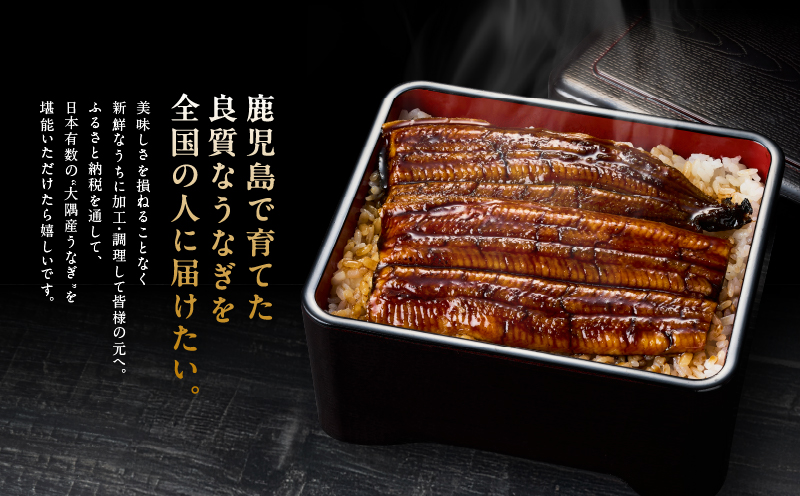 鹿児島県大隅産うなぎ蒲焼5尾セット（計600g）　KN007-022