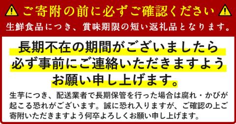 かのや紅はるか Ｍサイズ 10kg入り