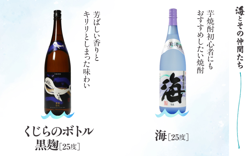 【全6回定期便】「海とその仲間たち」海が毎月届く　KN034-T02