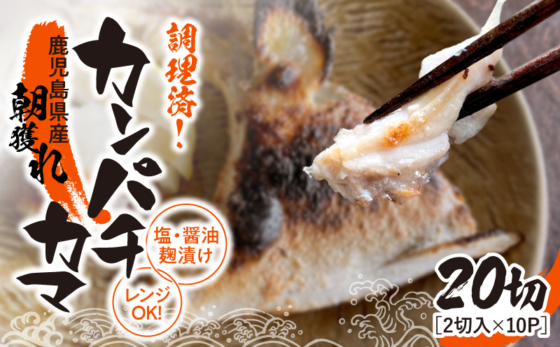 調理済み！カンパチカマ塩・醤油麹（こうじ）漬け 20切（焼タイプ）　KN037-002-06