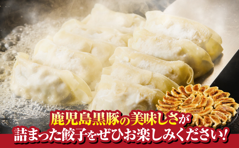 1289-1 鹿児島黒豚 餃子 1.6kg＜96個＞ 豚肉 黒豚 おかず 小分け アレンジ 贈答 鹿児島 鹿屋 こだわり　KN054-004