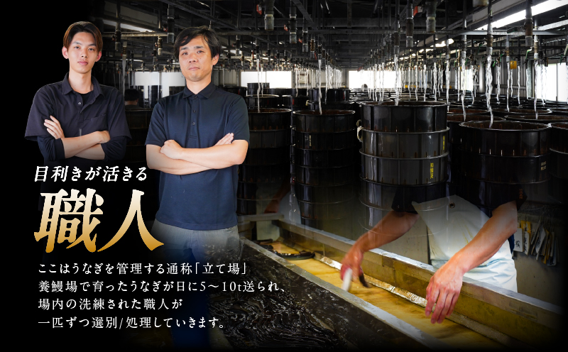 2869 【 2026年 土用の丑の日 先行予約 】 鹿児島県大隅産うなぎ蒲焼4尾（600g）　KN007-004-01b